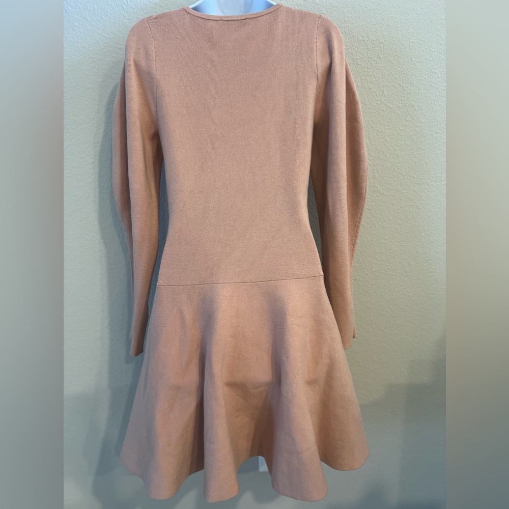 Express Blush Long Sleeve Mini Dress - Picture 3 of 7